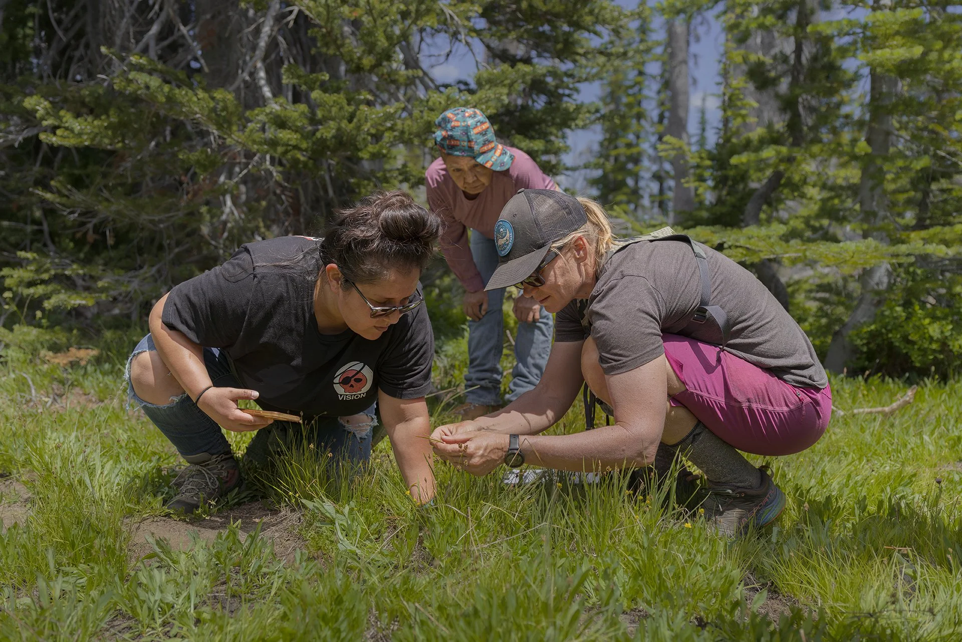 Cascades Carnivore Project and Yakama Nation collaborate for Cascade red fox conservation. Photo by Gretchen Kay Stuart