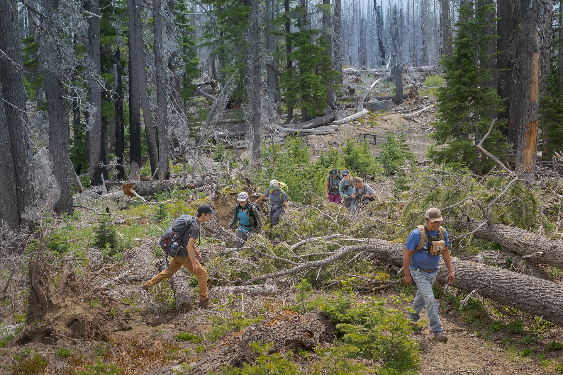 The team scrambles over and around downed trees along the trail leading to subalpine habitat. Photo by Gretchen Kay Stuart
