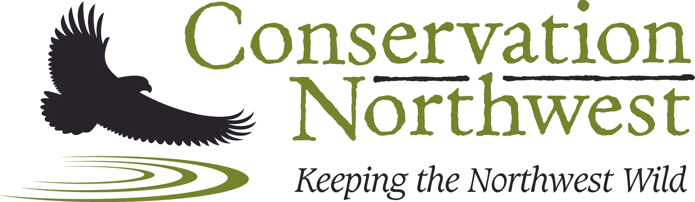 CNW_Logo_standard_high-res.jpg