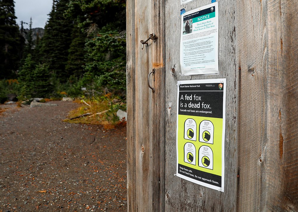 Fed Fox is a Dead Fox Gretchen Kay Stuart 2.JPG