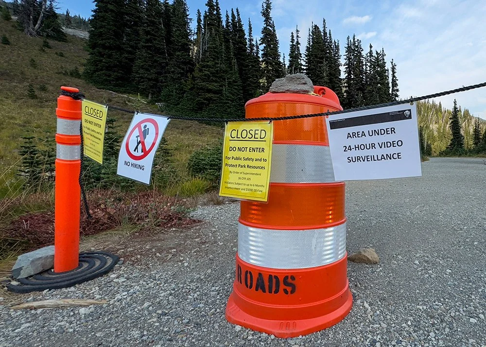 Cascade red fox research Gretchen Kay Stuart 2.jpg