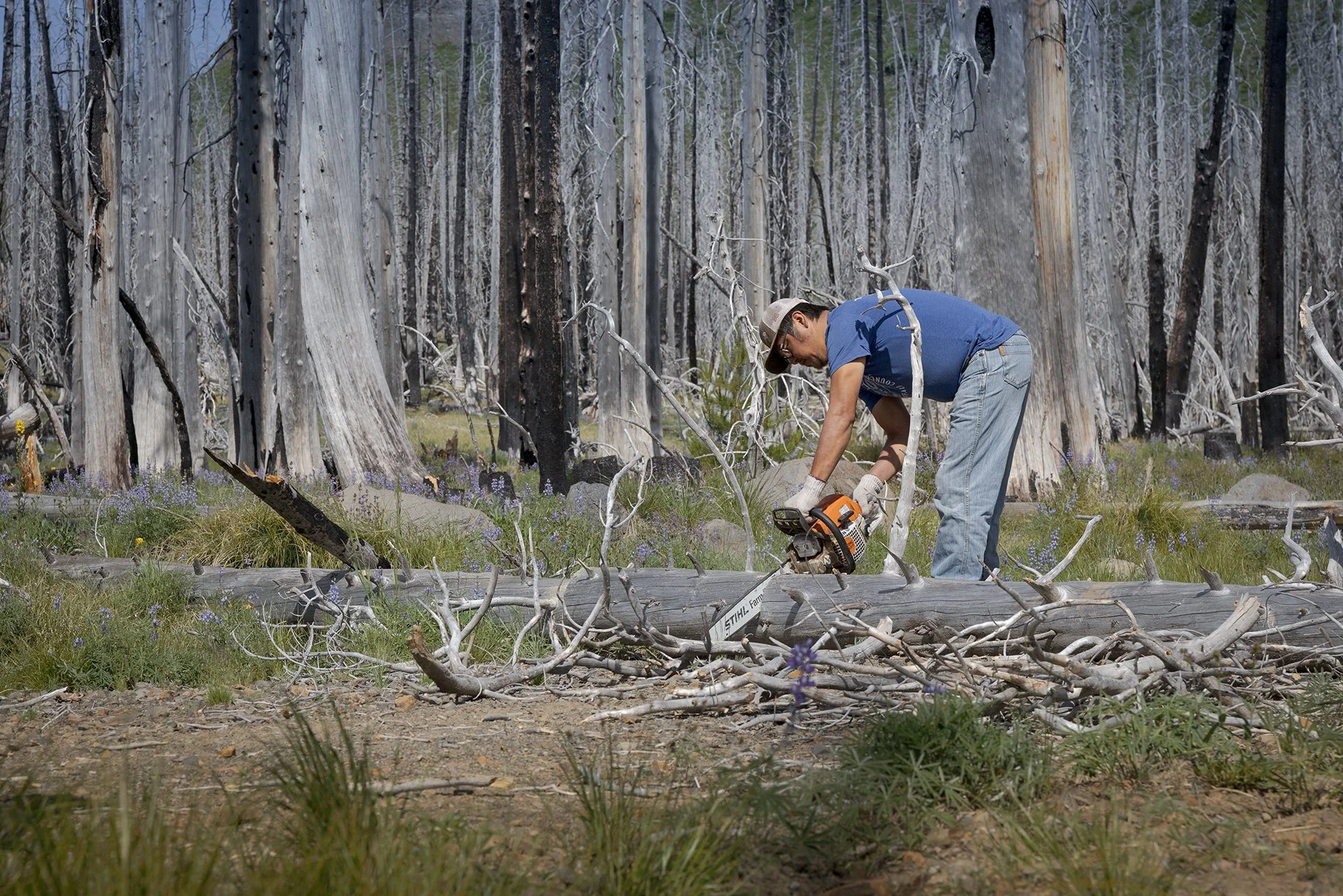 Casey removes downed trees from the road that leads to trailheads on the Yakama Reservation. Photo by Gretchen Kay Stuart