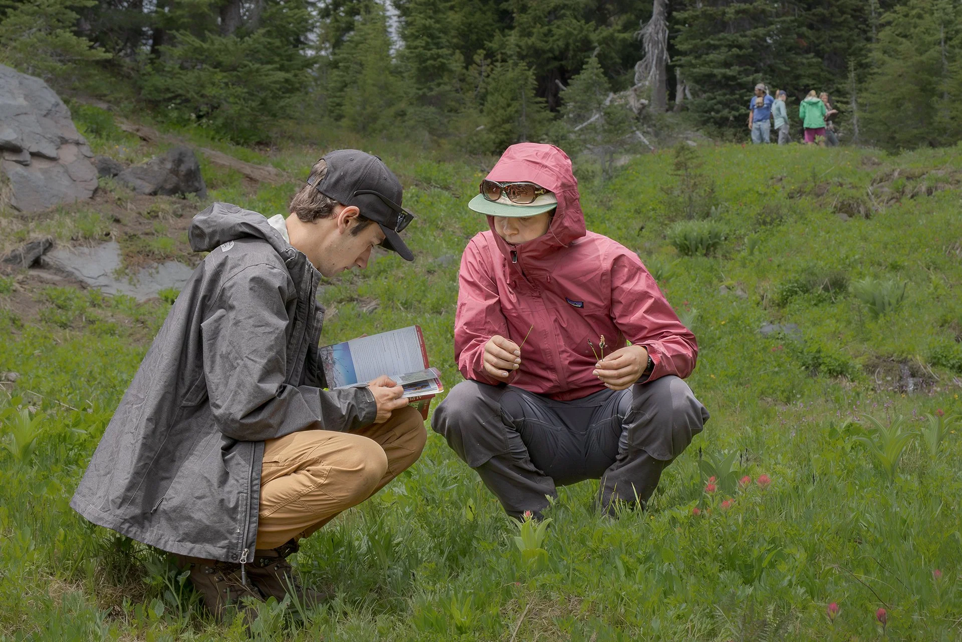 Nate and Piper identify plant species in a subalpine meadow. Photo by Gretchen Kay Stuart