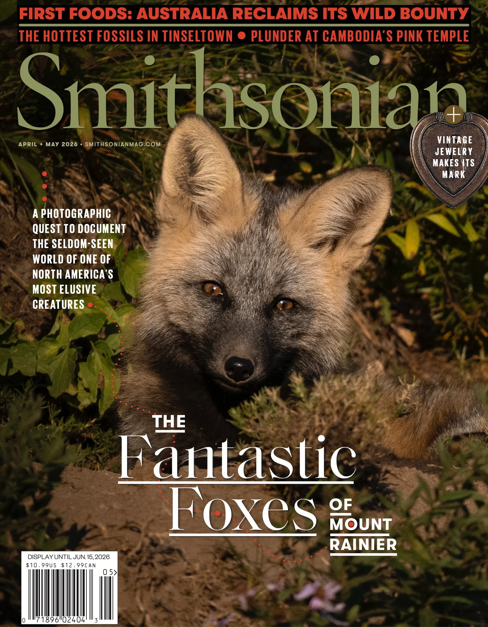 Gretchen Kay Stuart Smithsonian Magazine Cover.