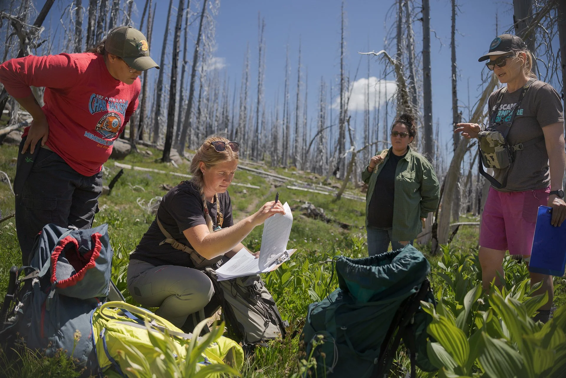 Yakama Nation and Cascades Carnivore Project collaborate for meadow surveys on Mt. Adams. Photo by Gretchen Kay Stuart