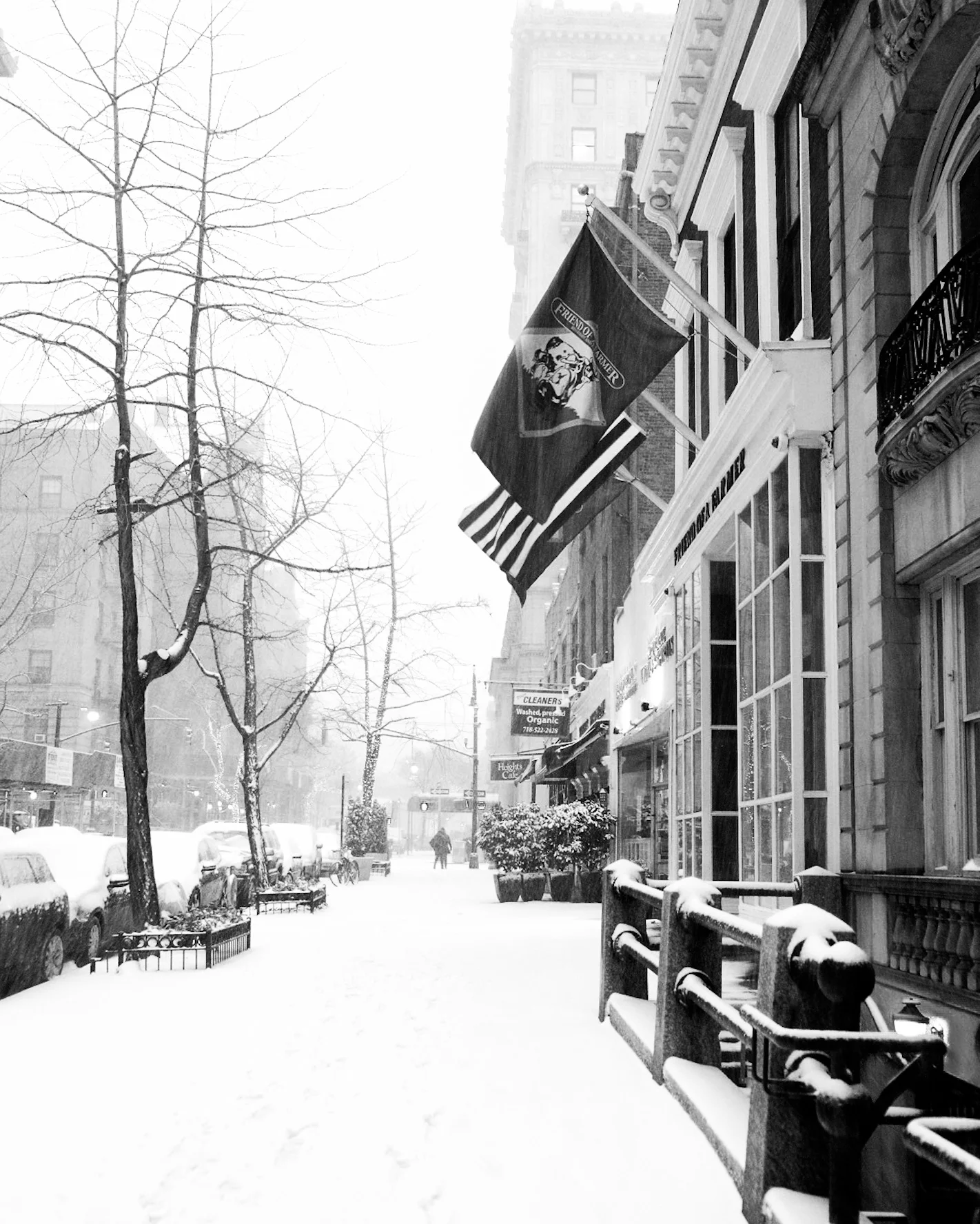 29 snowy street.jpeg