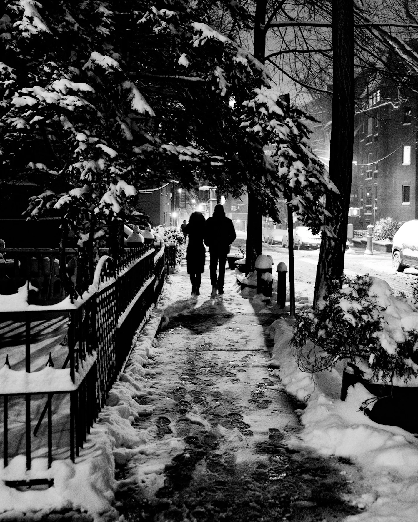 Snow - Couple 