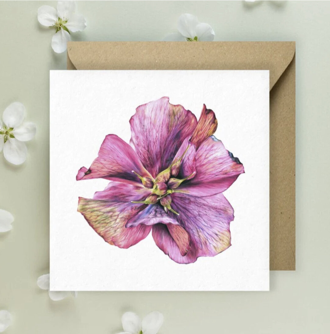 Kimberley Dewhurst 'Pansie' Greeting Card