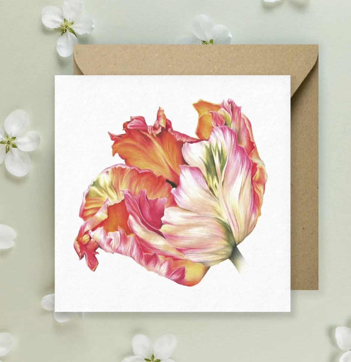 Kimberley Dewhurst 'Apricot Tulip' Greeting Card