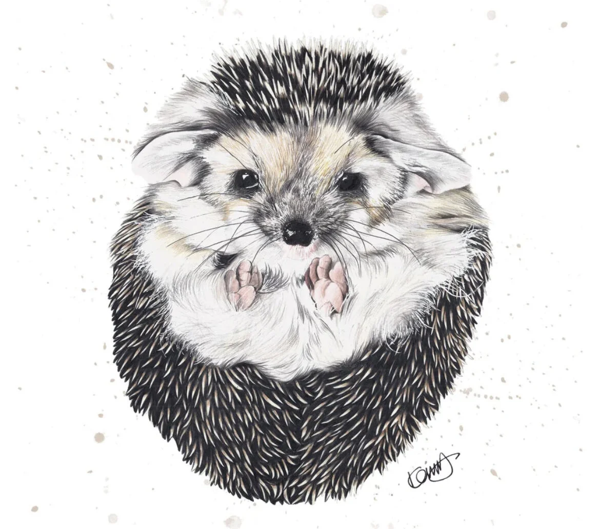 EEC5A5B7-91C4-4A9F-A122-962D634A8362