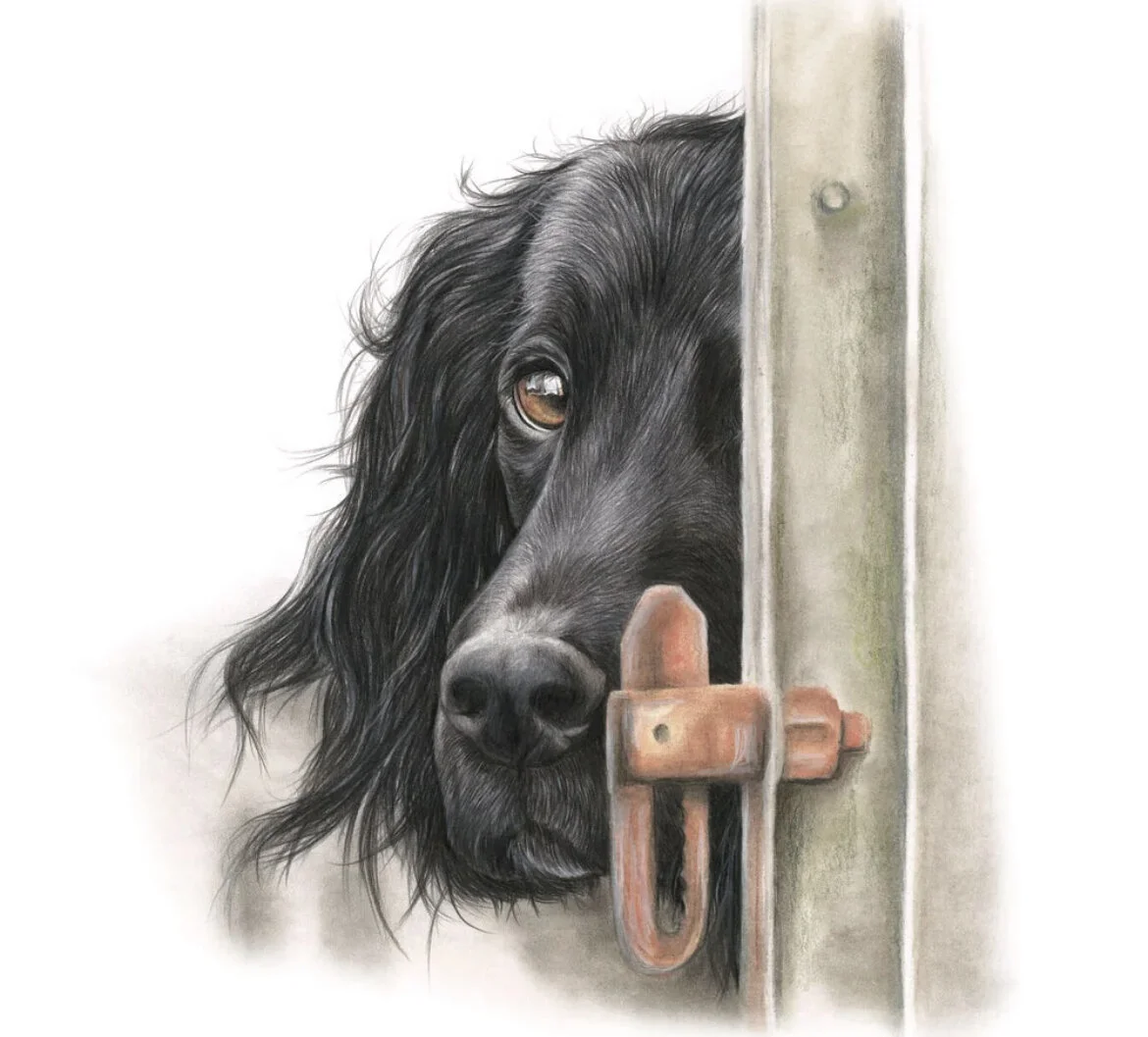 3B211059-60BC-4C0F-BFB9-E2E0731FF693