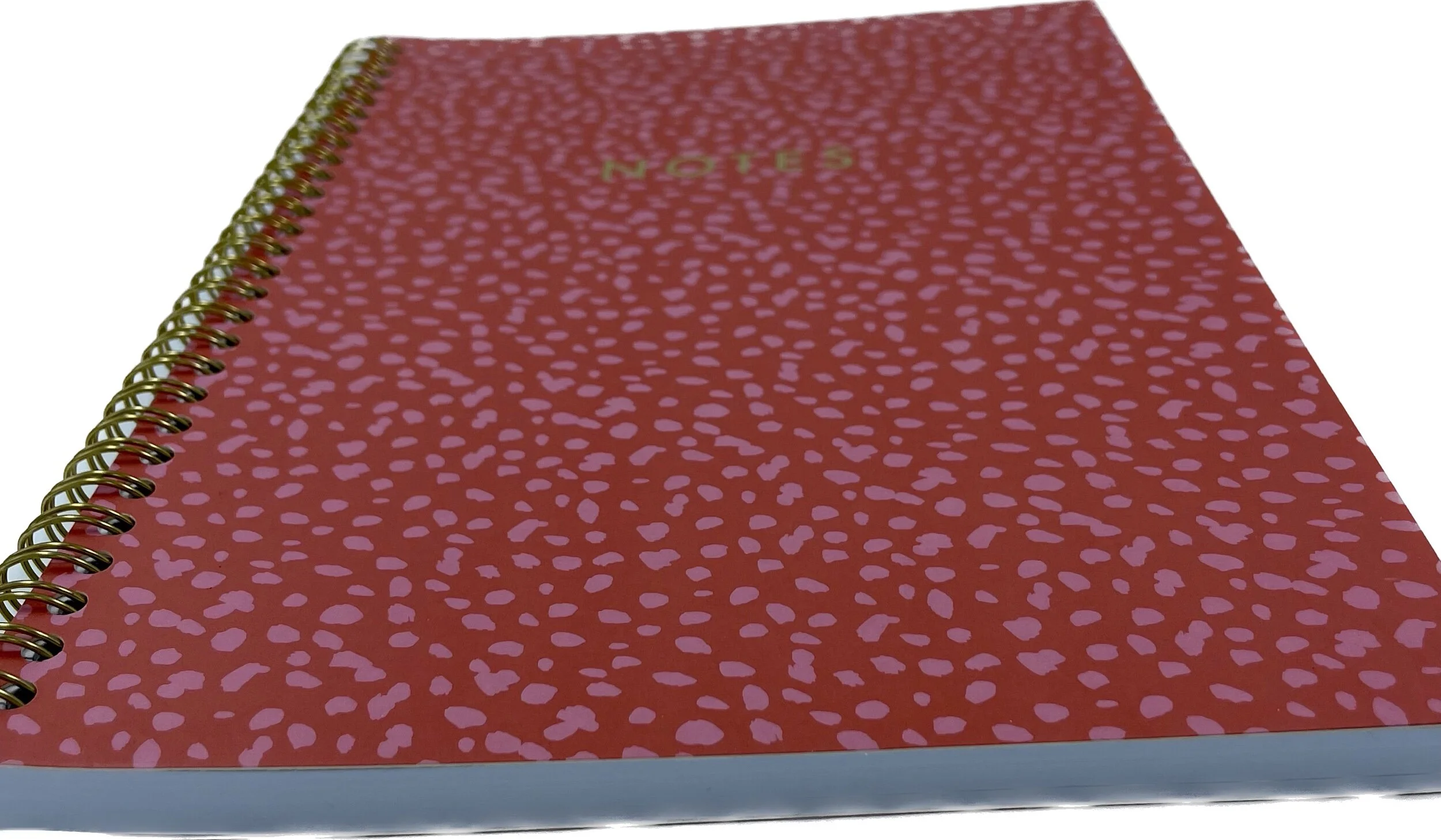 57D82D96-EB80-40E8-8167-BAE83B32097F