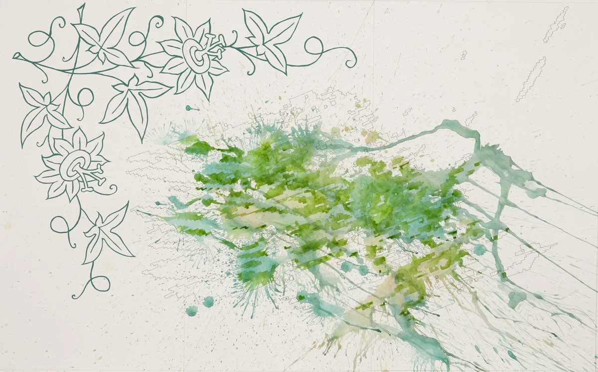 Jesse Bransford, Flowering, 2008, 39.25x24.25”, Acrylic, watercolor and graphite on paper.