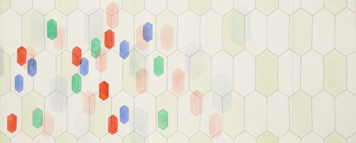 Jesse Bransford, Emergent Entopic Forms, 2008, 57.75x23.25, Acrylic, watercolor and graphite on paper.