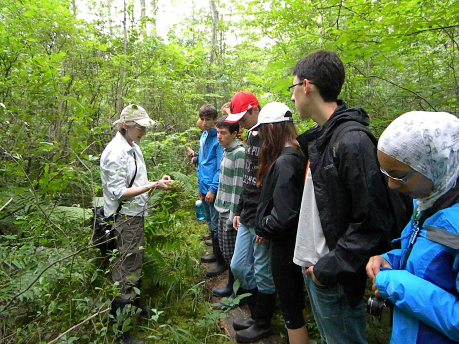 ESSYI students exploring biodiversity in a nearby bog.