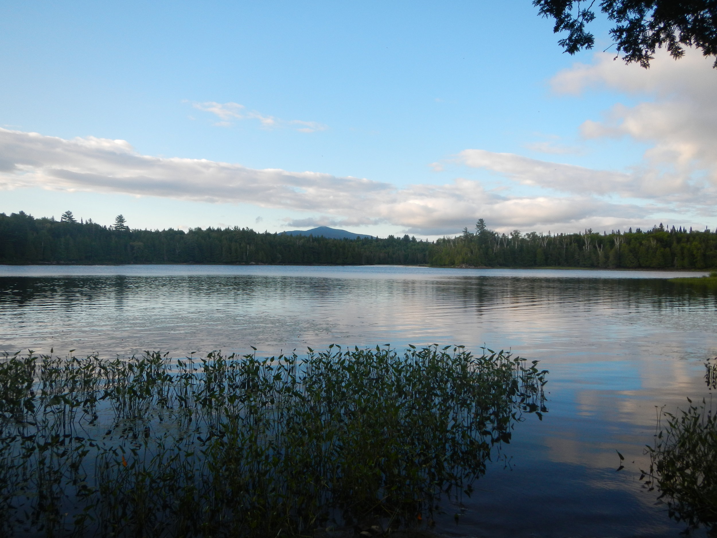 ESSYI Videos — Environmental Studies Summer Youth Institute