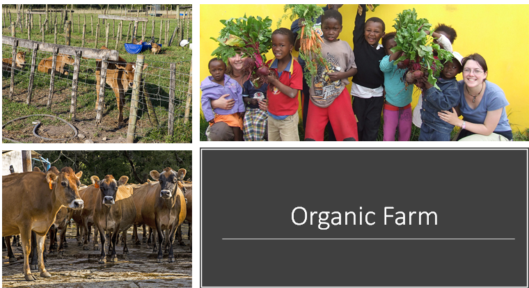 O projeto usa técnicas holísticas e naturais como biodinâmica e astrológica para reabilitar a terra, o solo e o ecossistema. De acordo com esses objetivos, existe uma grande variedade de animais e plantas que se desenvolvem em um único e próspero ambiente.