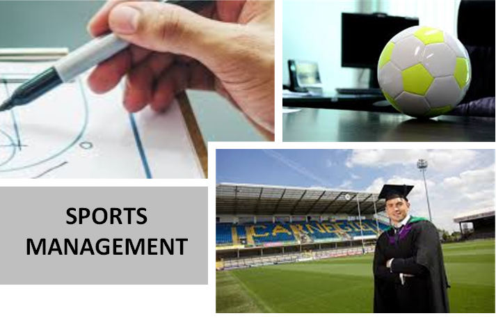 sports management.png