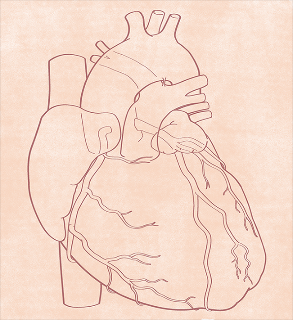 MedLegal-01.jpg
