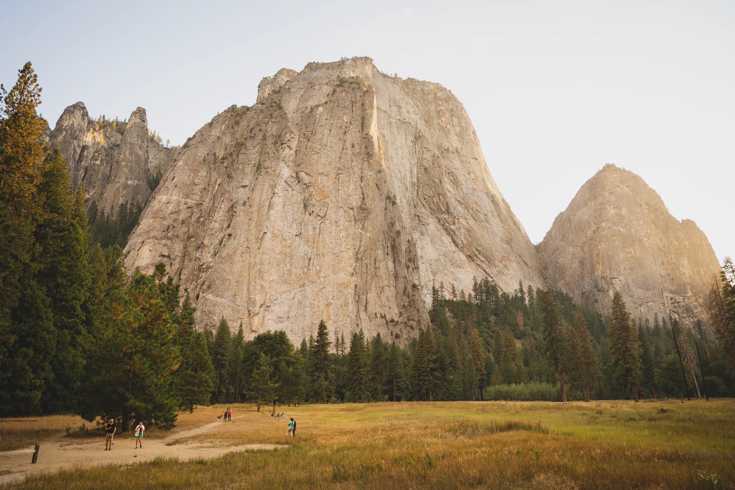 El Capitan granite wall with pine trees, Yosemite