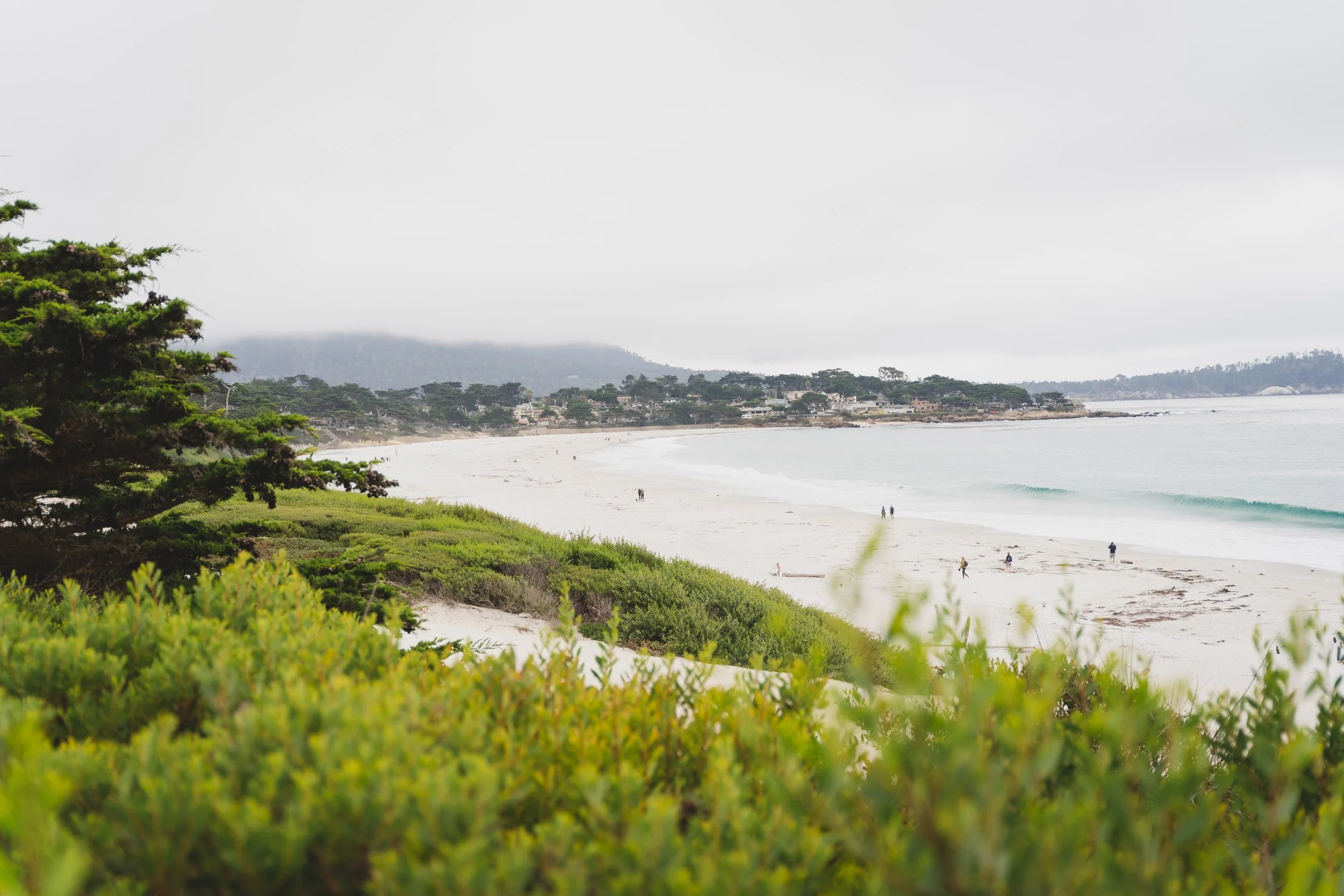 Calm ocean and sandy coastline