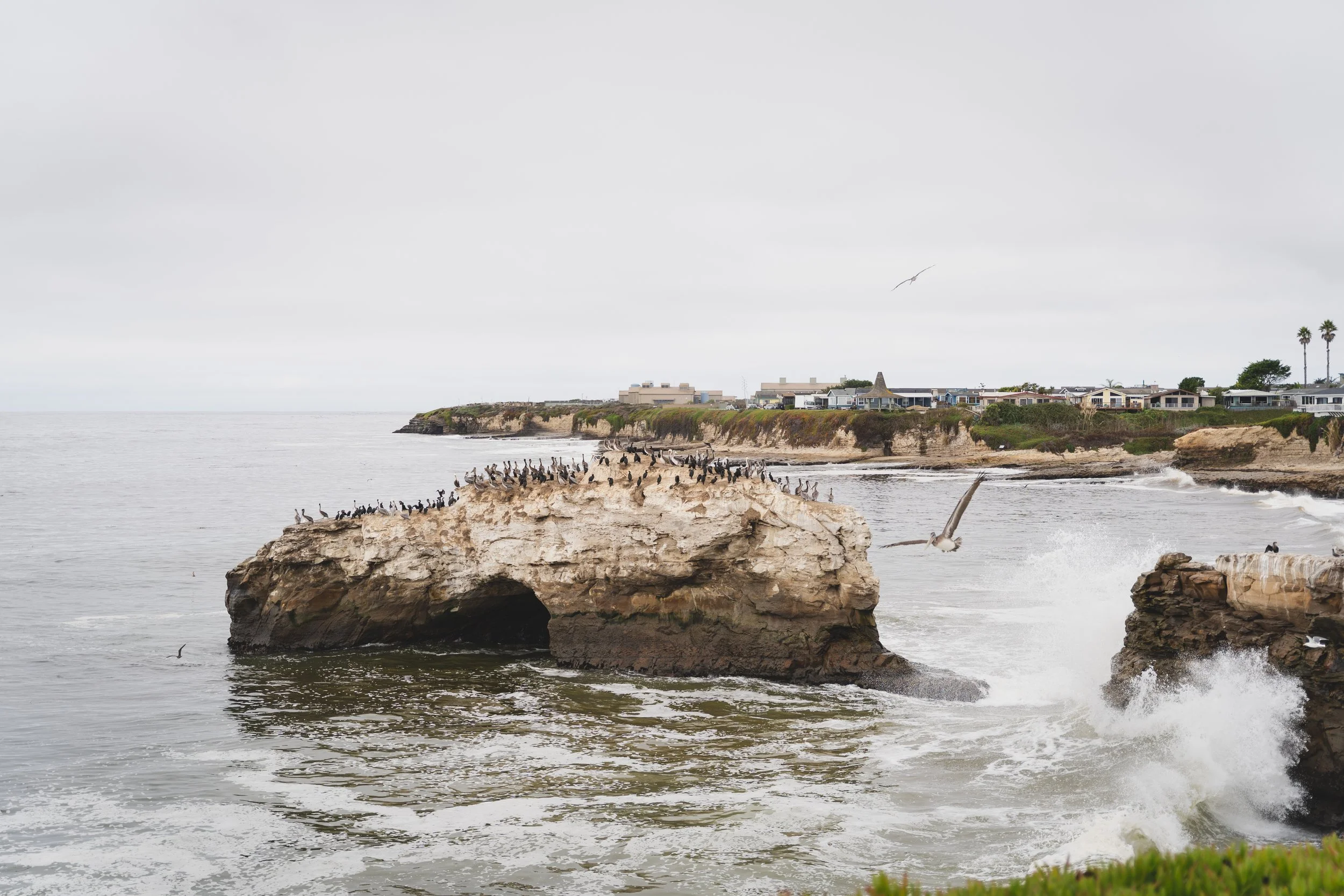 Santa Cruz natural bridges sea arch