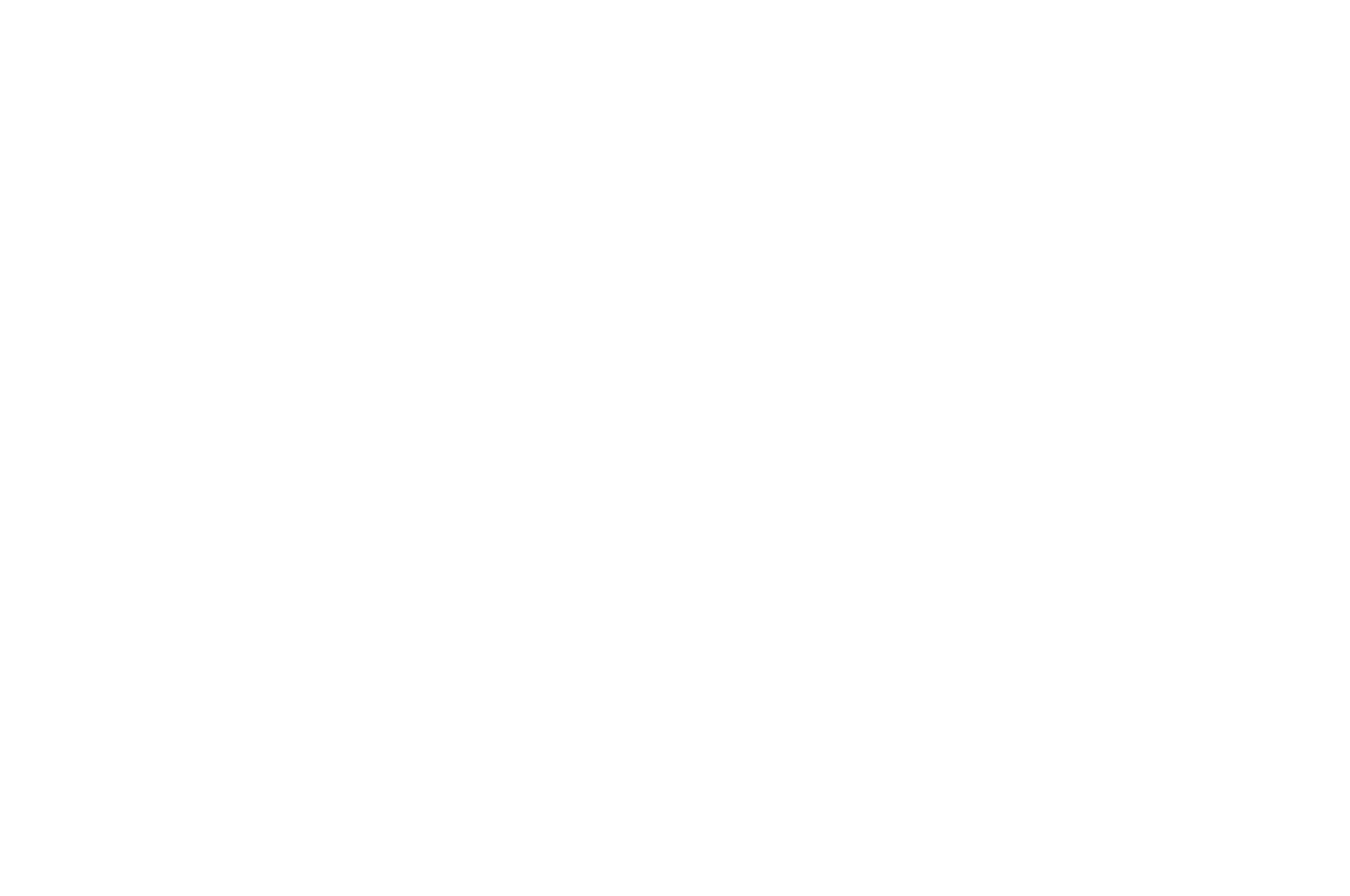 OFFICIAL SELECTION - Southeast Michigan Film Festival - 2018.png