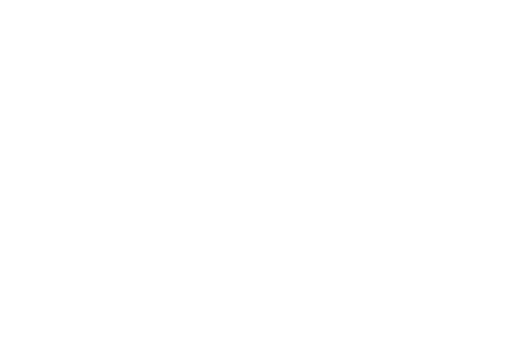 OFFICIAL SELECTION - Ottawa Spookshow and Fantastic Film Festival - 2019.png