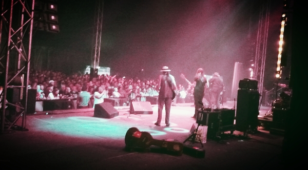 Enjoy better stage monitoring and with it, a better gig for you and your audience.