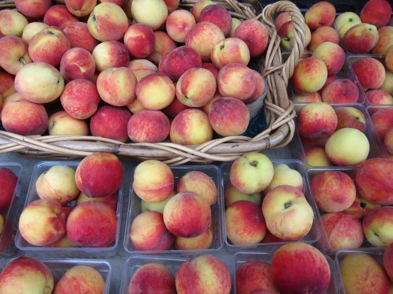 farmers-market-10.jpg