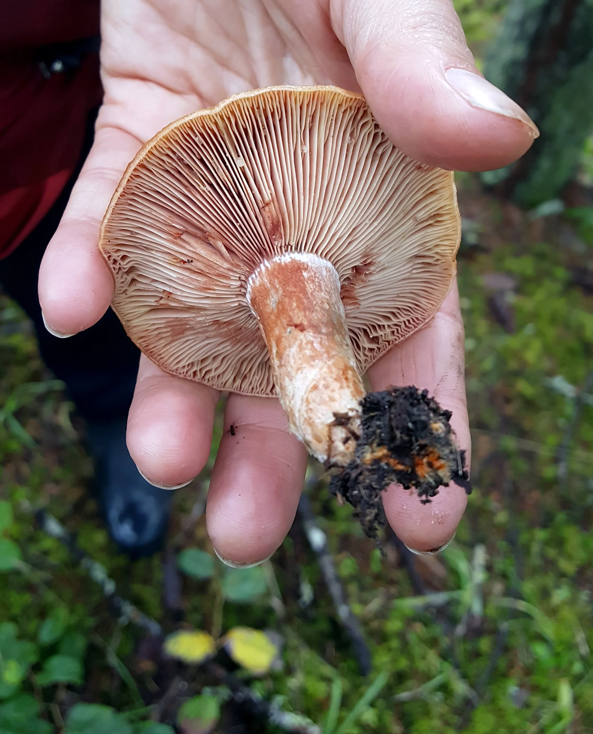 20161101_125442.jpg