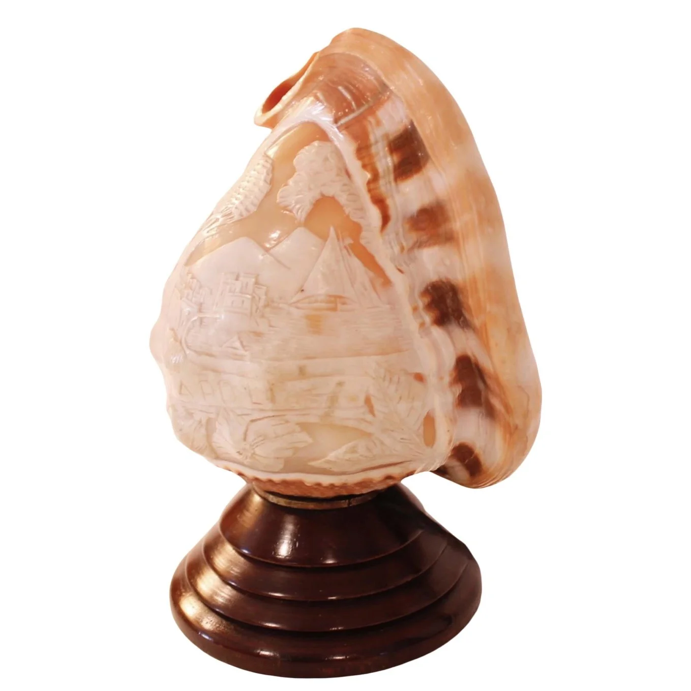 Cameo Carved Italian Conch Shell (Lamp)