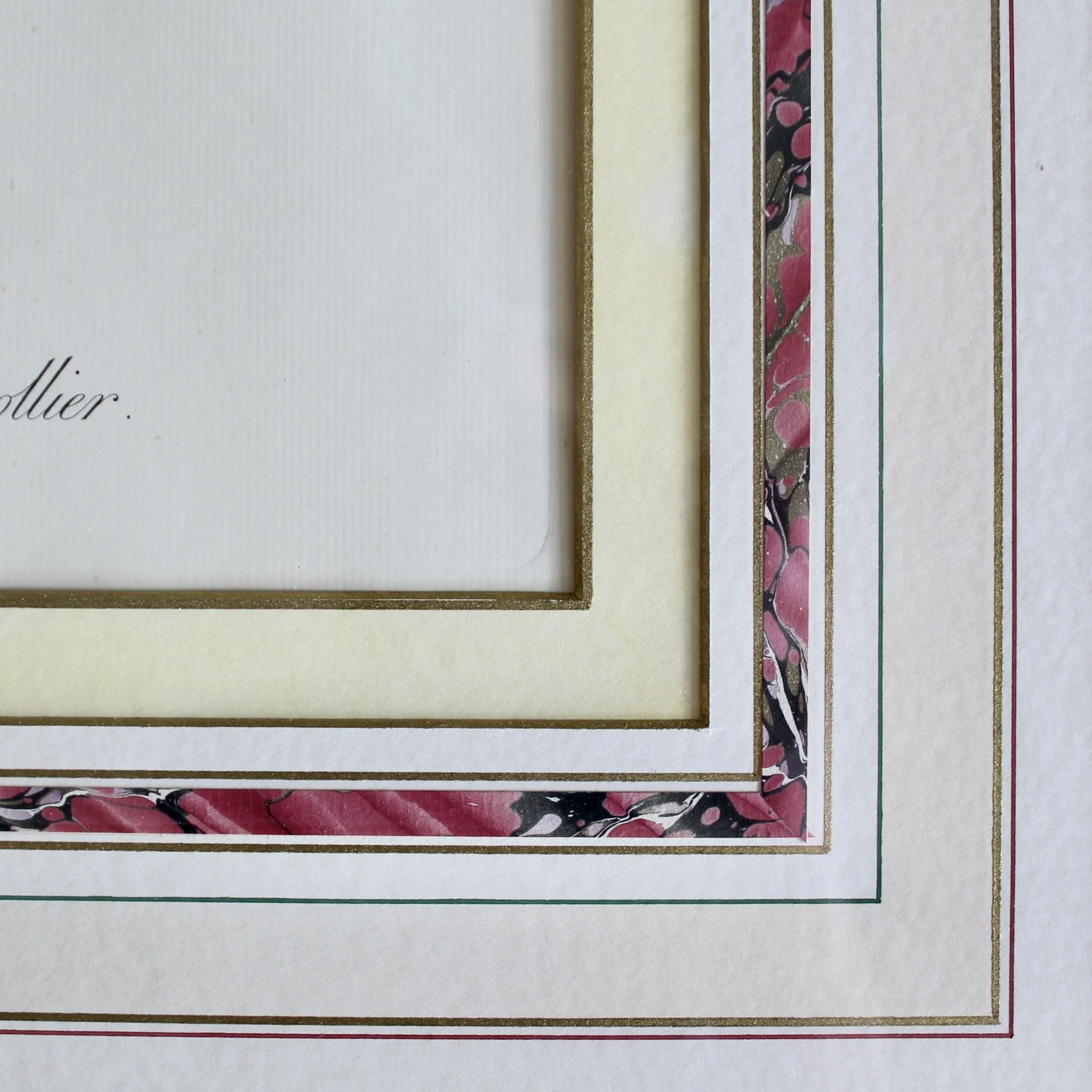 Pair of Parrot Prints by Jacques Barraband (François Levaillant) in Fine Frames