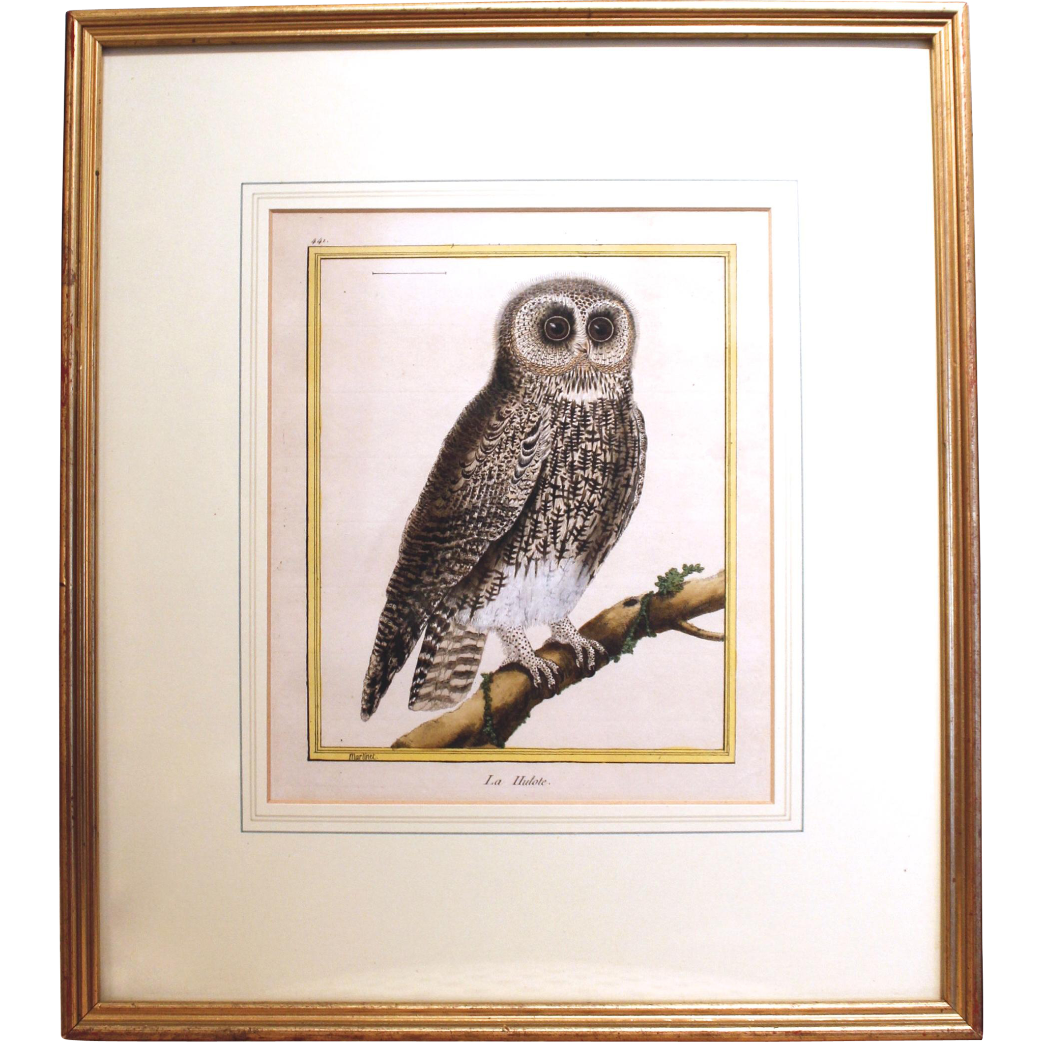 “La Hulote,” Owl Copper Plate Engraving by François Martinet