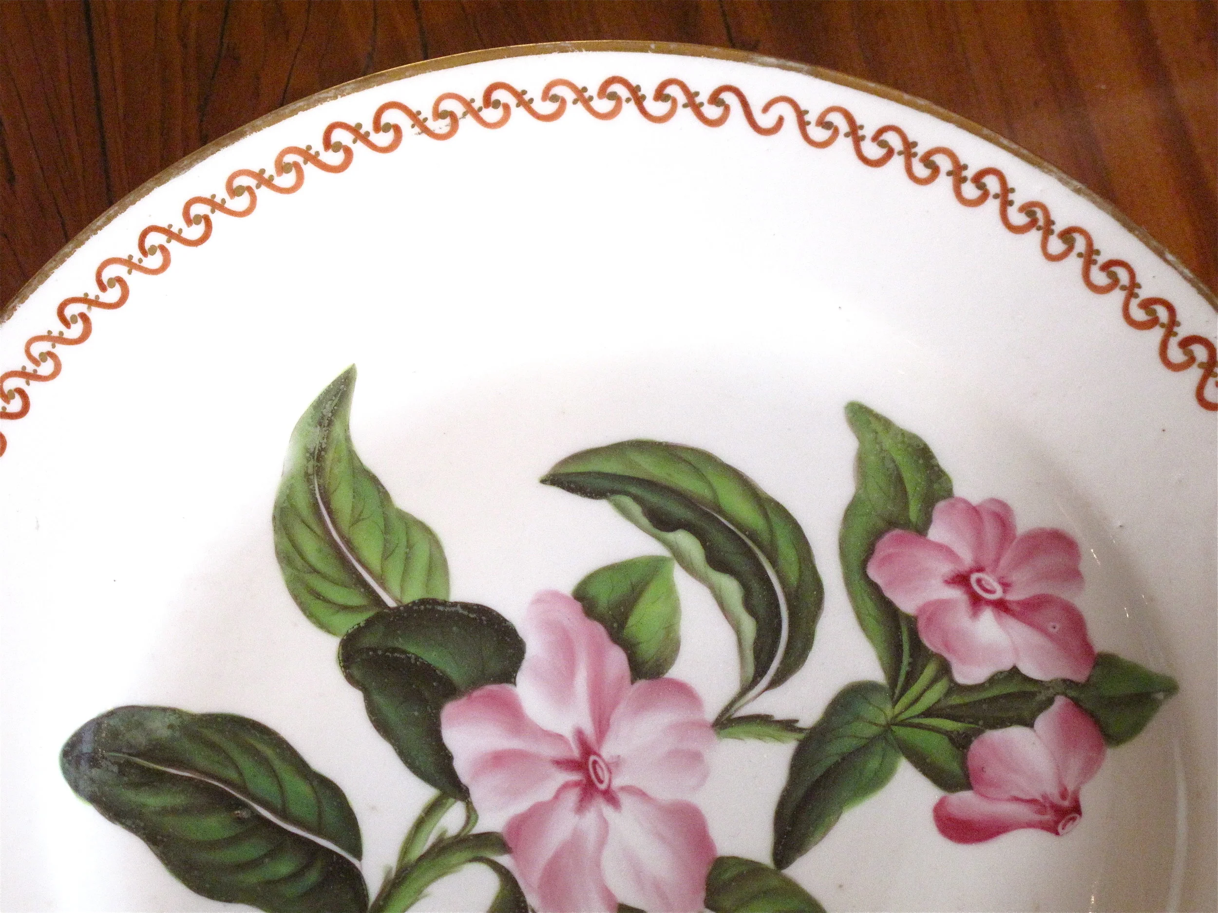 Pair of 19th Century English Botanical Porcelain Plates