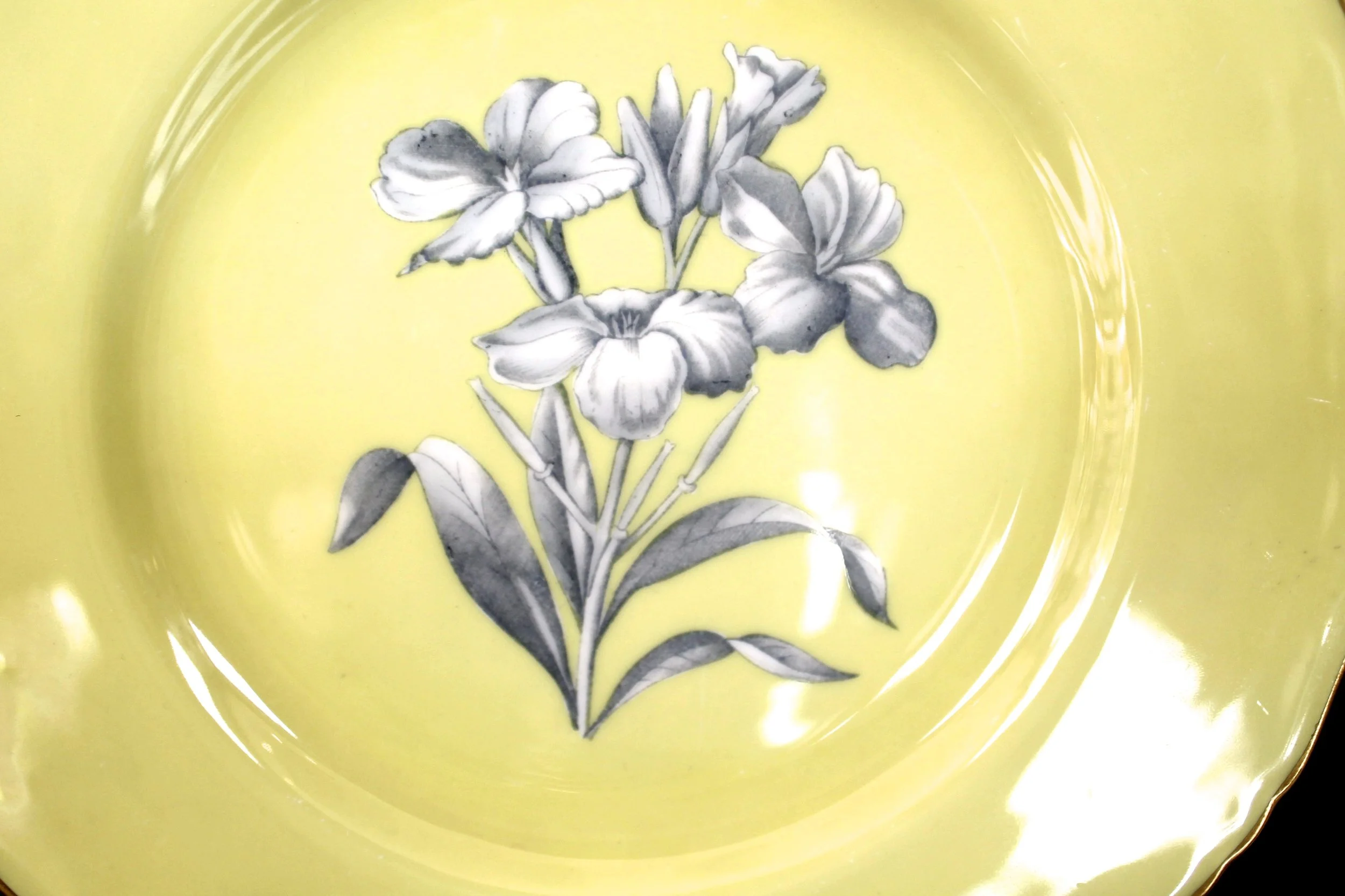 Set of 18 Royal Worcester Yellow Botanical Dessert Plates