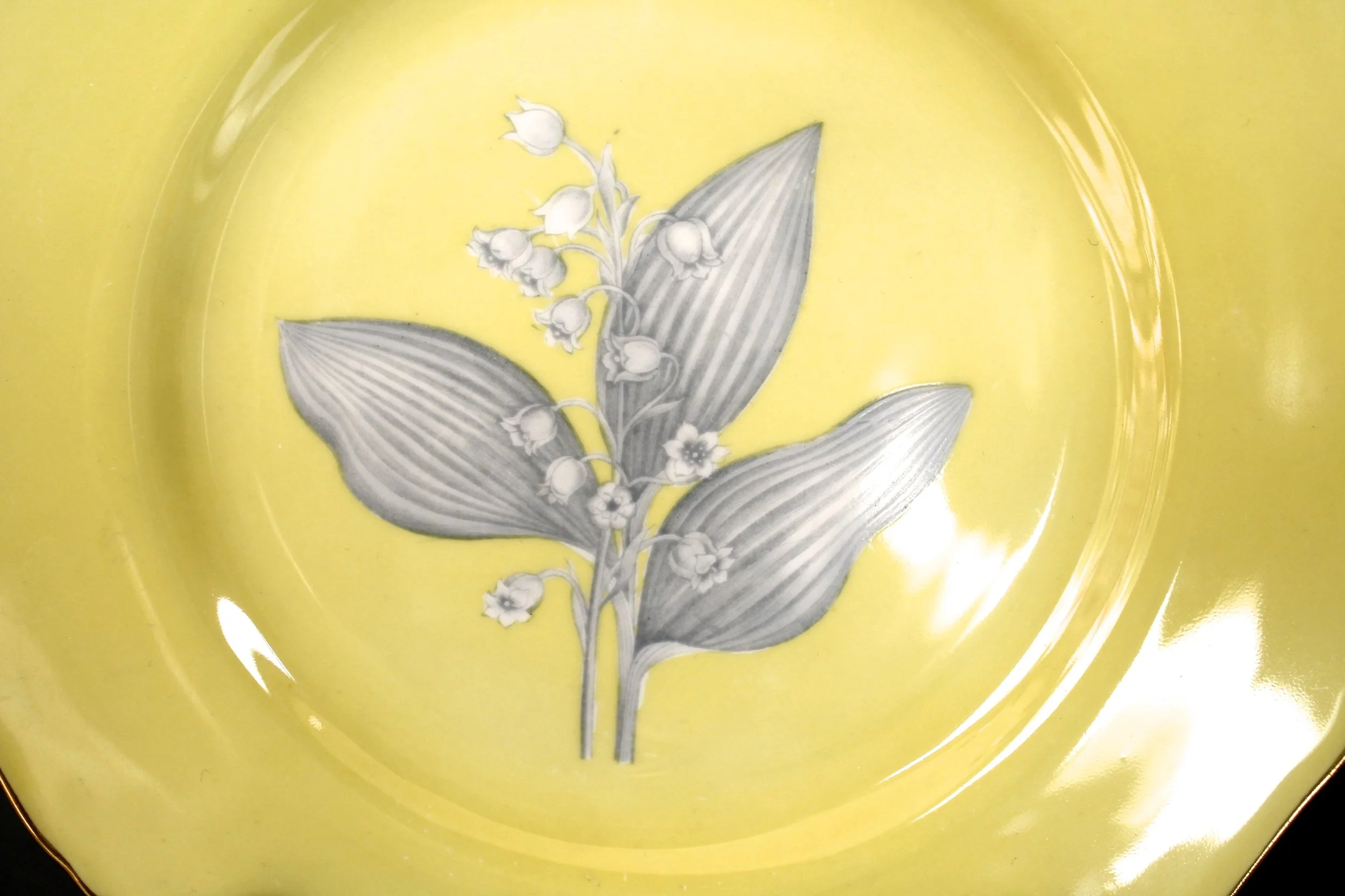 Set of 18 Royal Worcester Yellow Botanical Dessert Plates