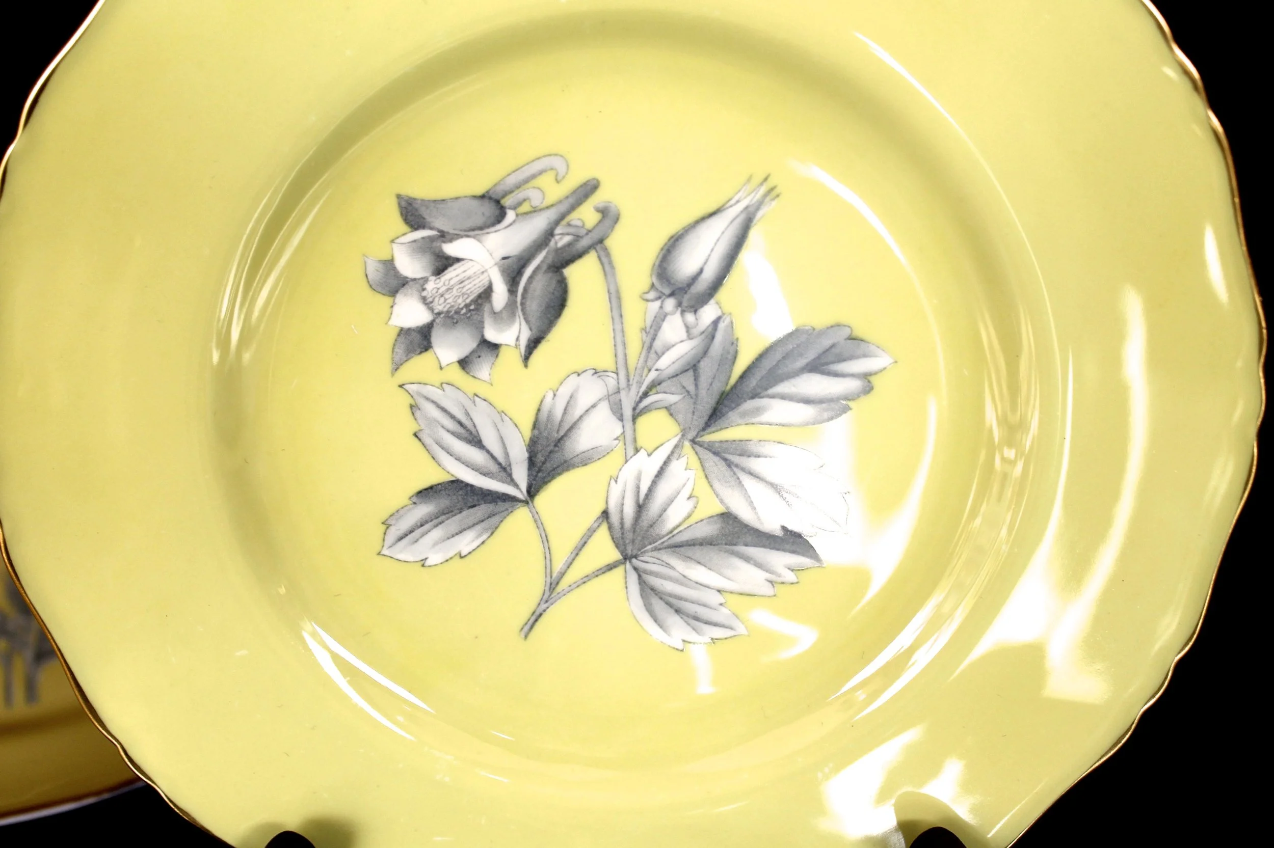 Set of 18 Royal Worcester Yellow Botanical Dessert Plates