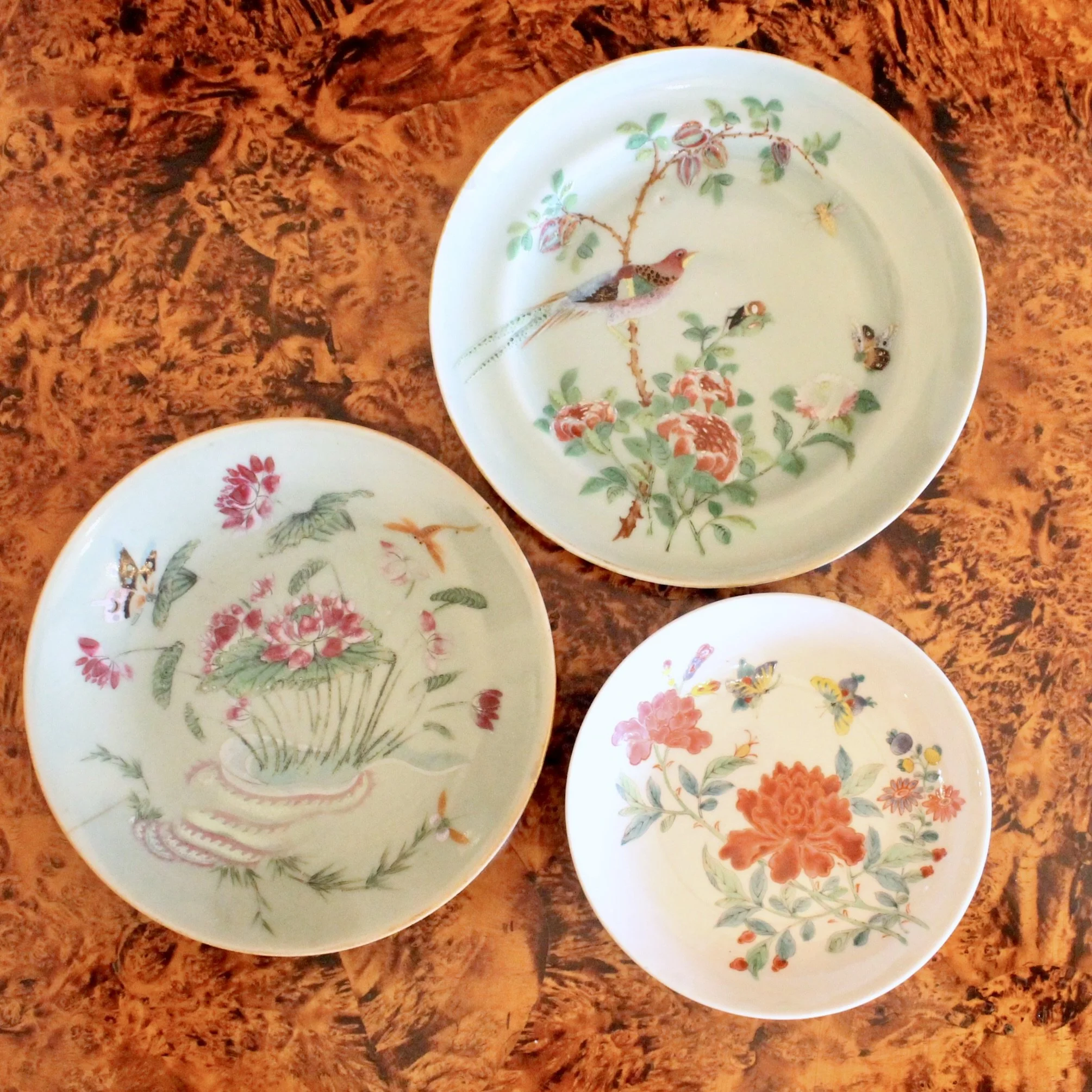 Celadon Porcelain Rose Canton Chinese Export Plates