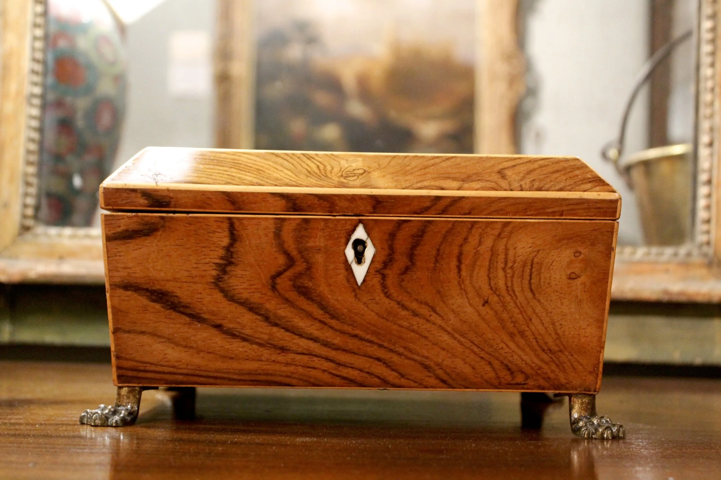 English Regency Rosewood Box on Brass Paw Feet