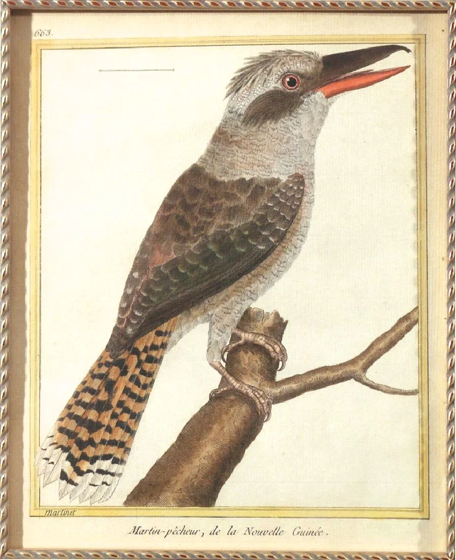 Pair of Hand Colored François Martinet Copperplate Bird Engravings