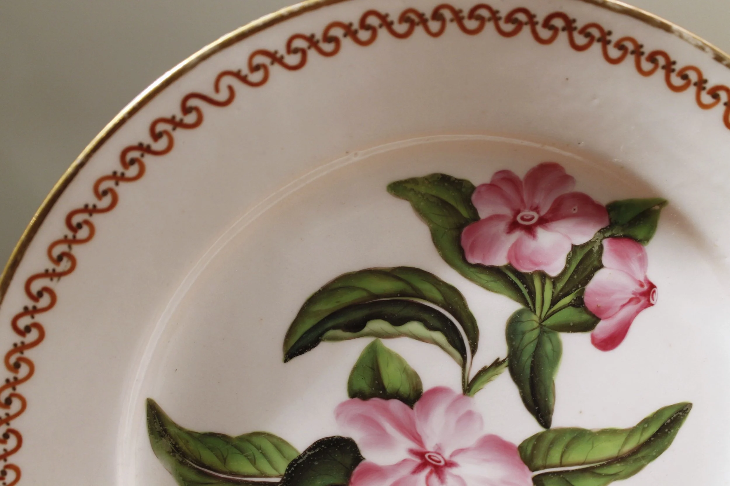 Pair of 19th Century English Botanical Porcelain Plates