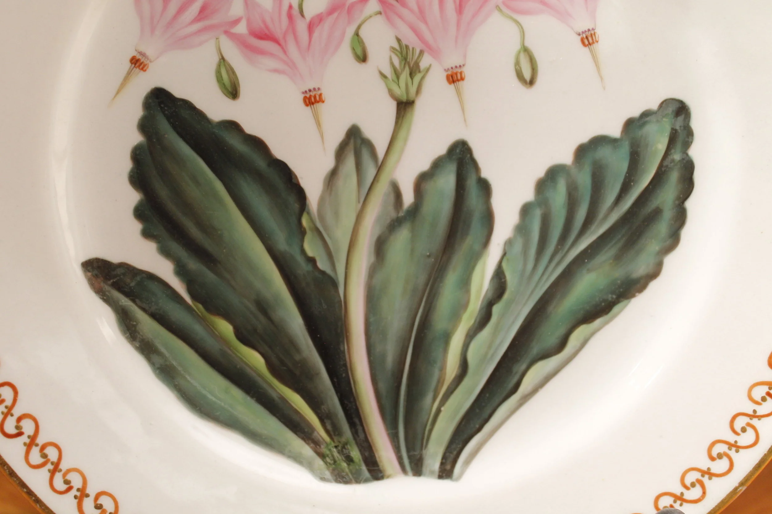 Pair of 19th Century English Botanical Porcelain Plates