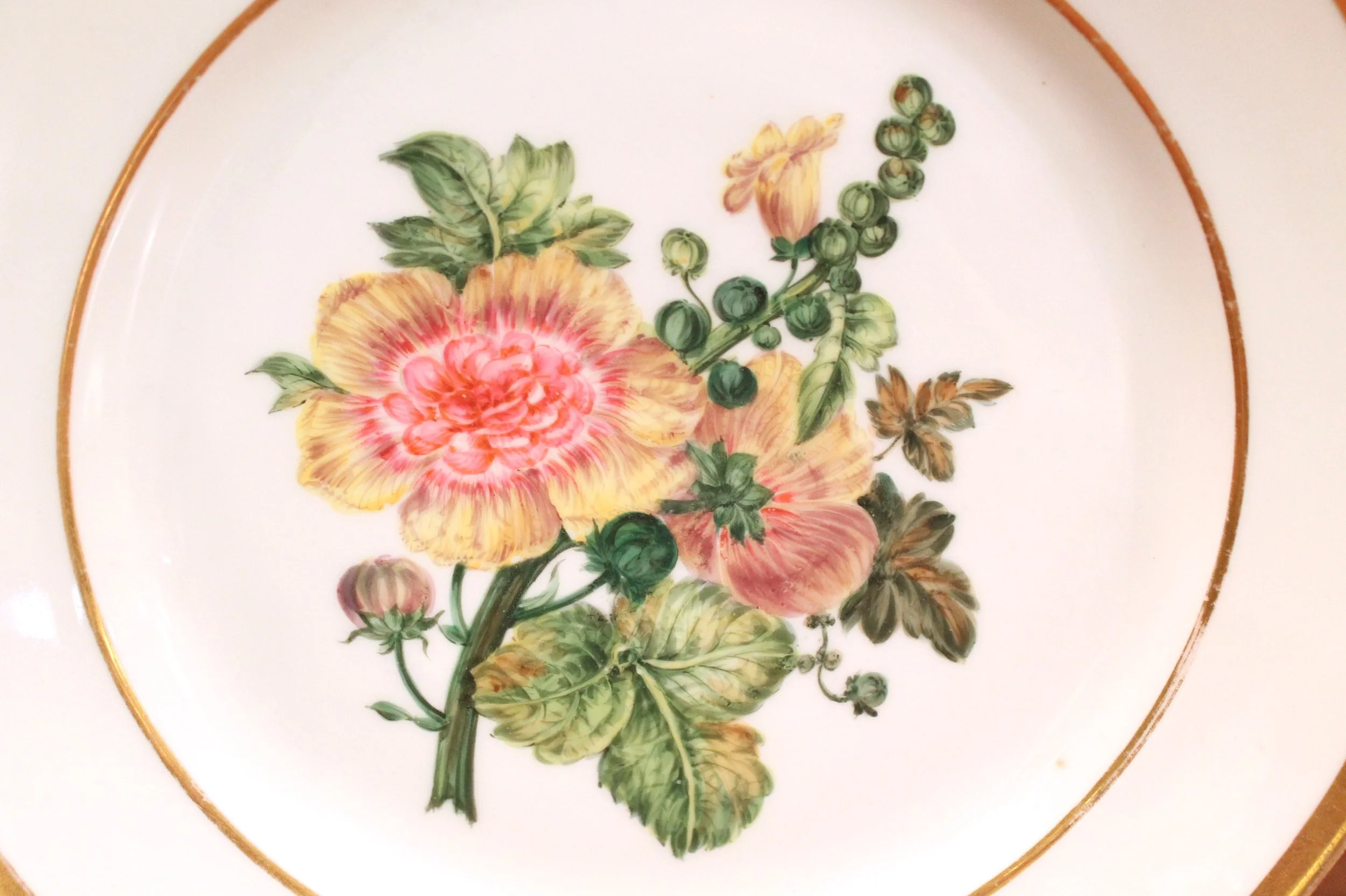 Pair of Deroche Paris Porcelain Floral Plates