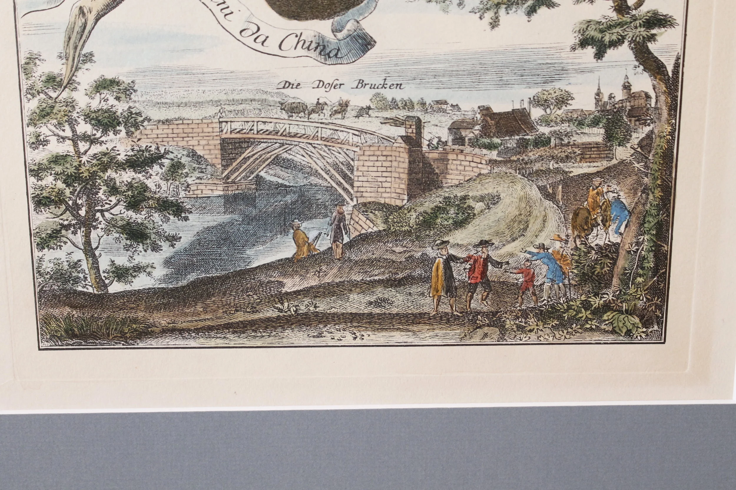 Pair of Citrus Engravings, Volkamer