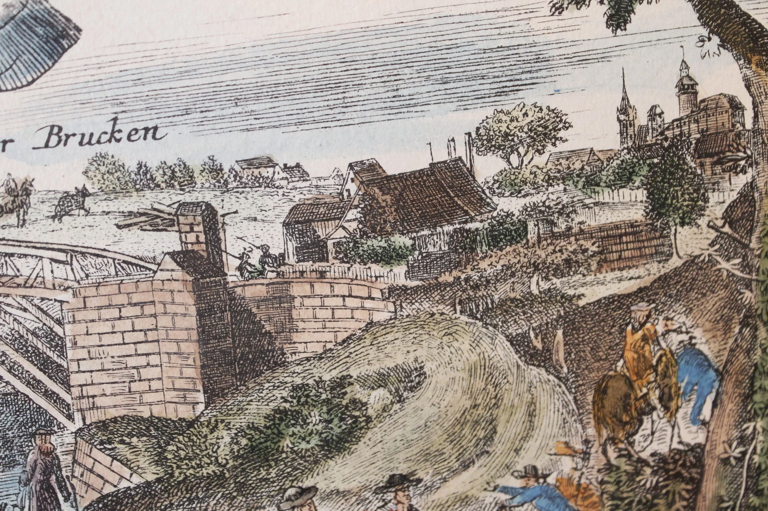 Pair of Citrus Engravings, Volkamer