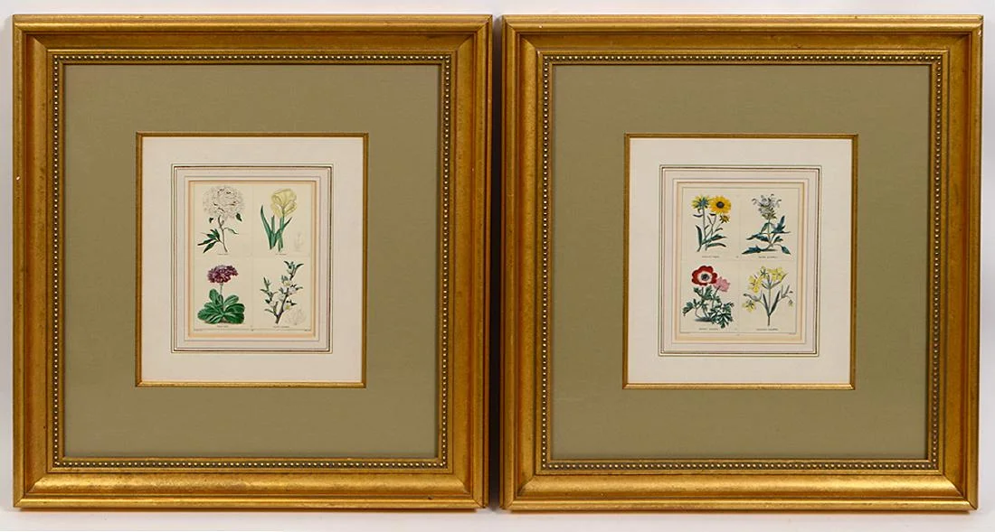 19th Century English Botanical Prints, Benjamin Maund