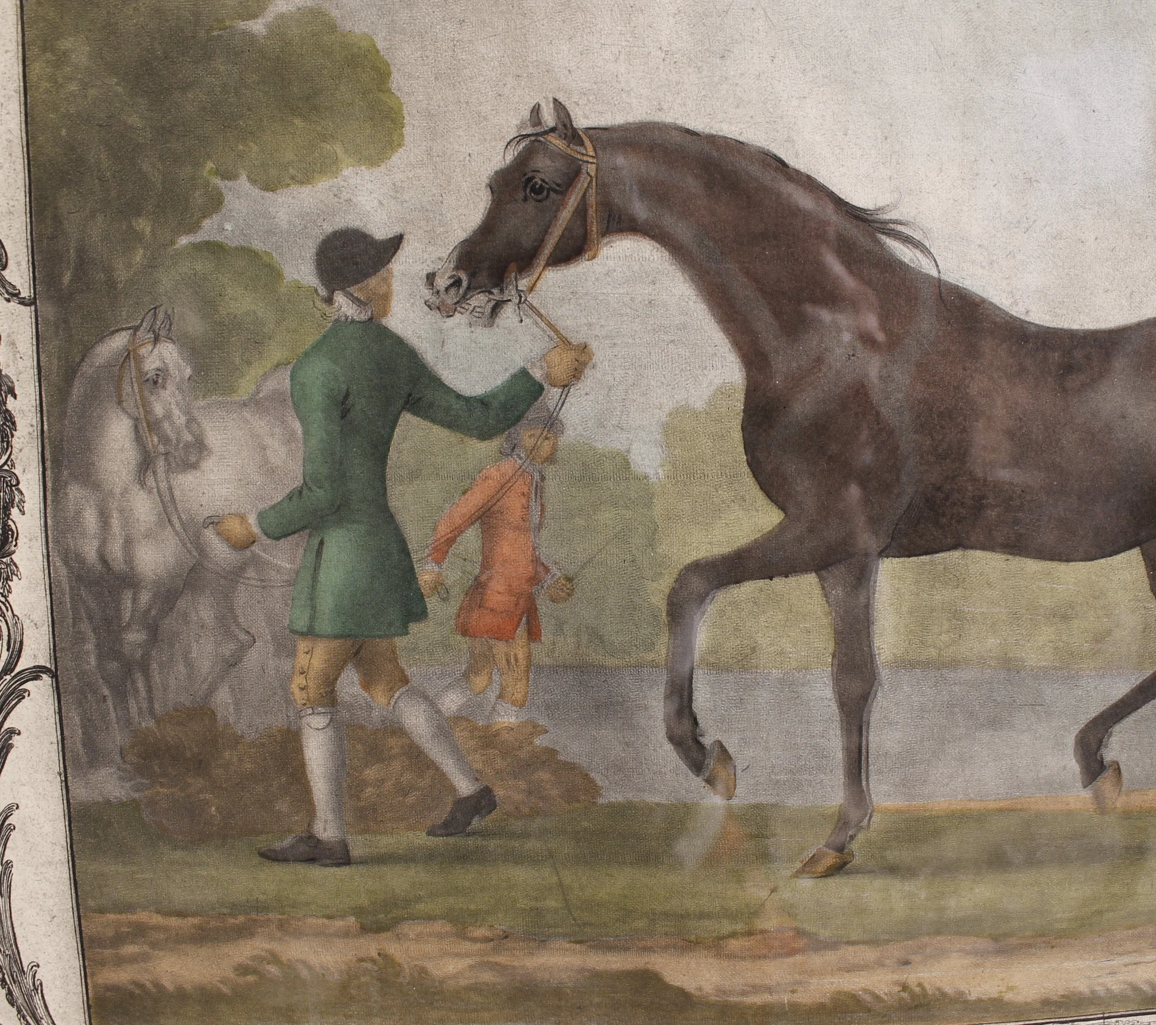 18th Century Racehorse Engravings