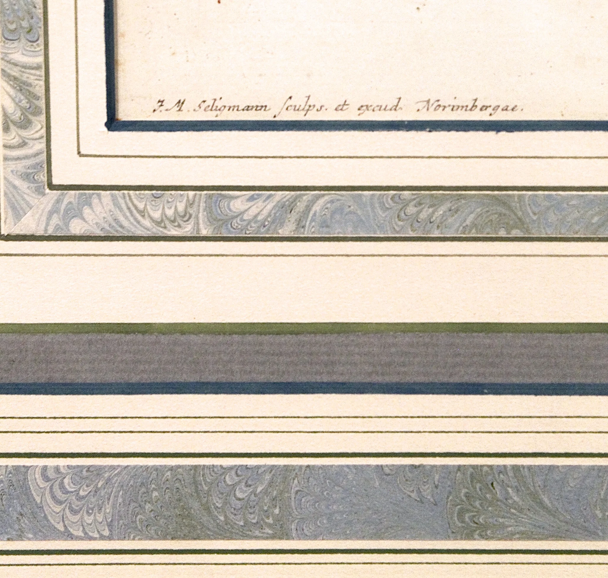 18th century Botanical Engravings- Hyacinths from the Hortus Nitidissimis