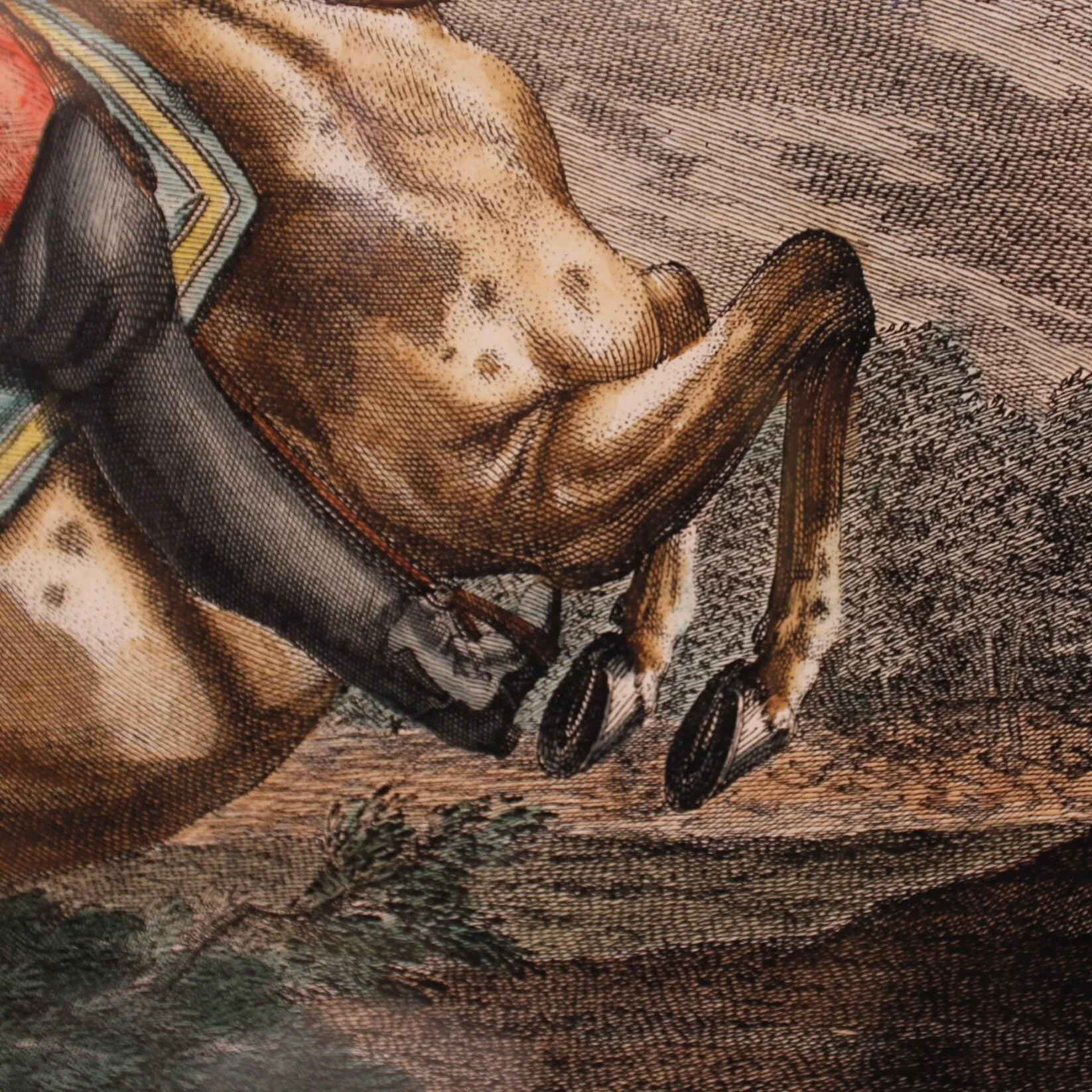 “Pallotade,” Large Equestrian (Dressage) Engraving,  Elias Ridinger